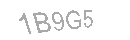 Güvenlik Kodu