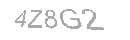 Güvenlik Kodu