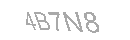 Güvenlik Kodu