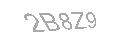 Güvenlik Kodu