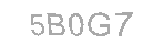 Güvenlik Kodu