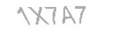 Güvenlik Kodu