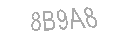 Güvenlik Kodu