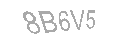 Güvenlik Kodu