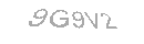 Güvenlik Kodu
