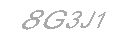 Güvenlik Kodu