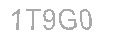 Güvenlik Kodu