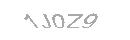 Güvenlik Kodu