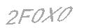 Güvenlik Kodu