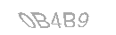 Güvenlik Kodu