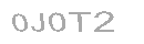 Güvenlik Kodu