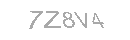 Güvenlik Kodu