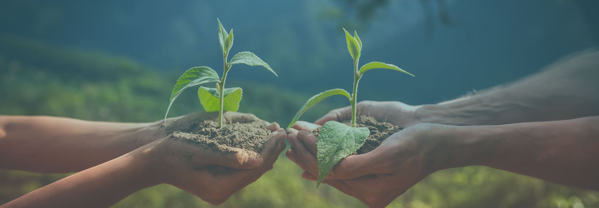 sosyal sorumluluk rus