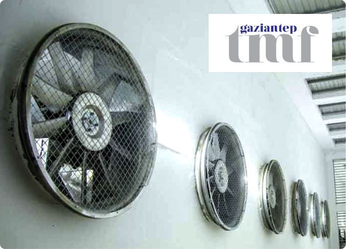 Asırlık Çınar 'Tüfekçi Makine' GTM’de Yerini Aldı